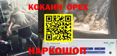 apvp Новодвинск