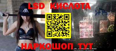 индика Новозыбков