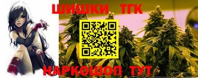 индика Новозыбков