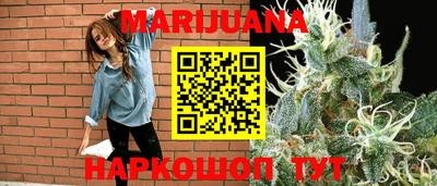 индика Новозыбков