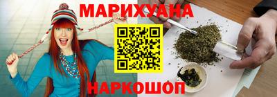 индика Новозыбков