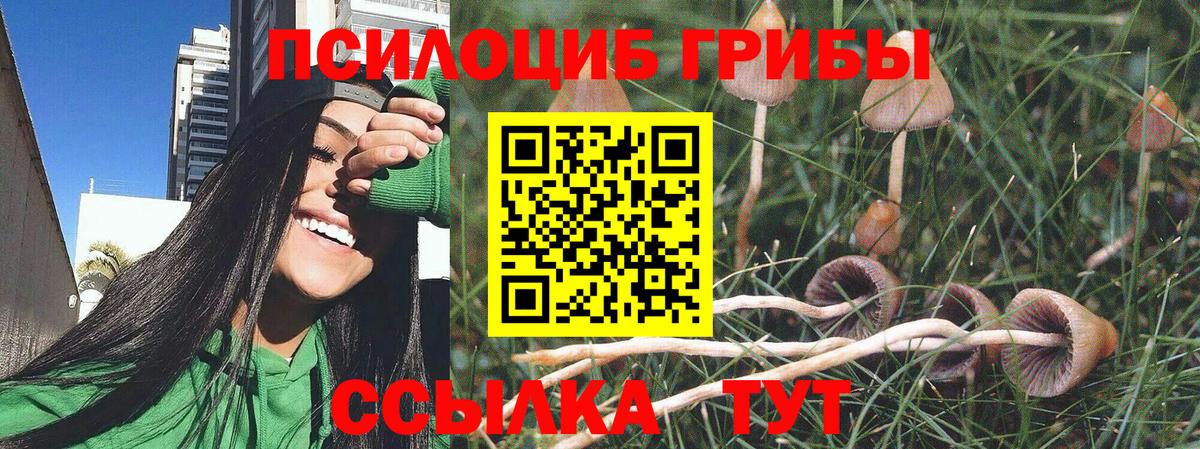Псилоцибиновые грибы ЛСД Троицк