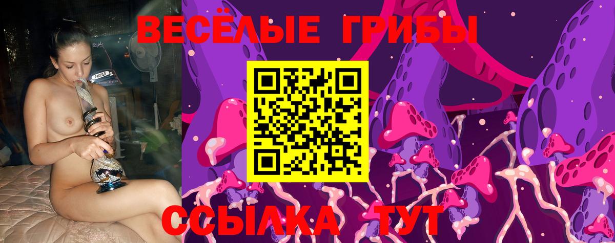 Троицк  Псилоцибиновые грибы ЛСД  Вход с VPN  Псилоцибиновые грибы Magic Shrooms 